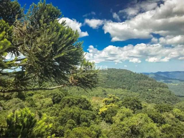 Apartamento venda em Região Geográfica Imediata de Caxias do Sul, Canela