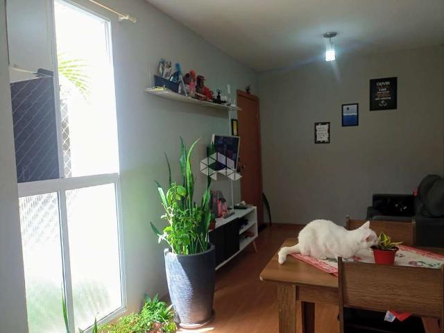 Apartamento venda em Região Geográfica Imediata de Porto Alegre, Região Metropolitana de Porto Alegre
