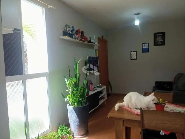 Apartamento venda em Estância Velha