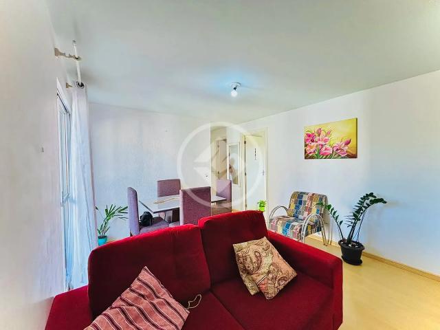 Apartamento venda em Vila Tolentino, Cascavel