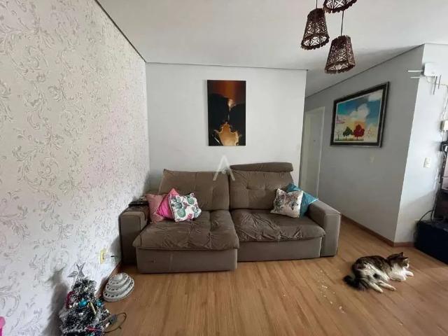 Apartamento venda em Região Geográfica Imediata de Cascavel, Cascavel