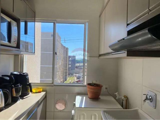Apartamento venda em Região Geográfica Imediata de Cascavel, Cascavel