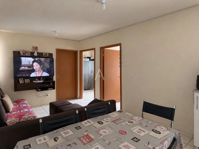 Apartamento venda em Cascavel, Região Geográfica Intermediária de Cascavel