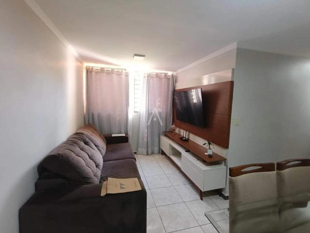 Apartamento venda em Cascavel, Região Geográfica Intermediária de Cascavel