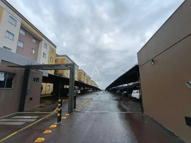 Apartamento venda em Cascavel, Região Geográfica Intermediária de Cascavel