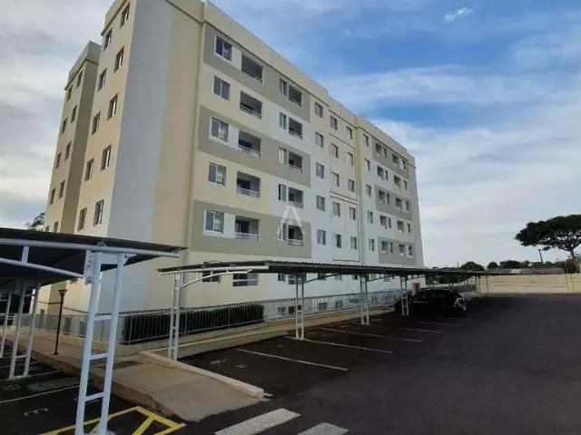 Apartamento venda em Região Geográfica Imediata de Cascavel, Cascavel