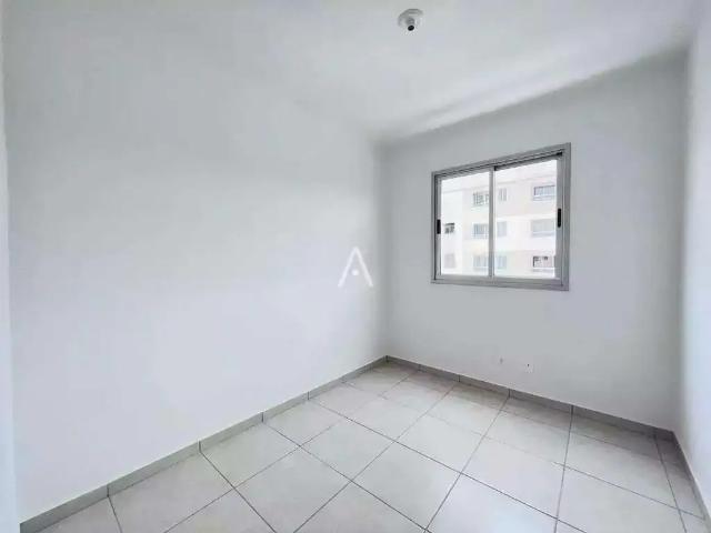 Apartamento venda em Região Geográfica Imediata de Cascavel, Cascavel