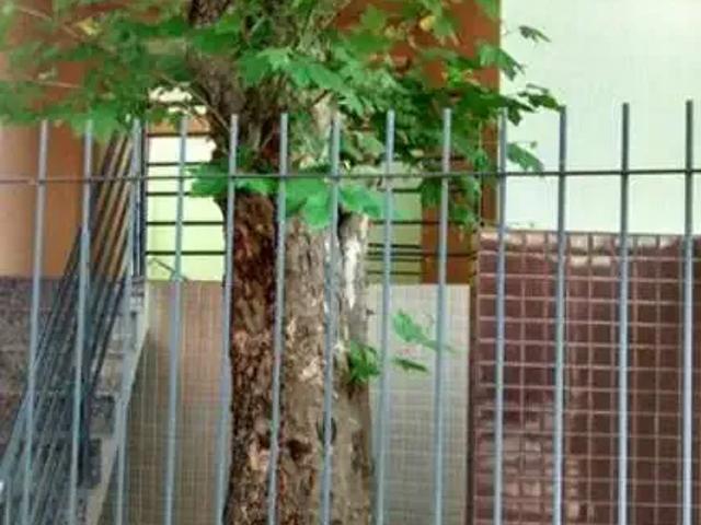 Apartamento venda em Região Geográfica Imediata de Caxias do Sul, Caxias do Sul