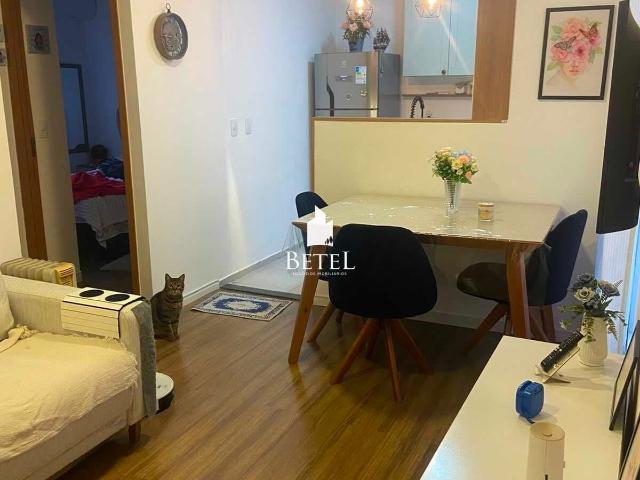 Apartamento venda em Caxias do Sul, Região Geográfica Intermediária de Caxias do Sul