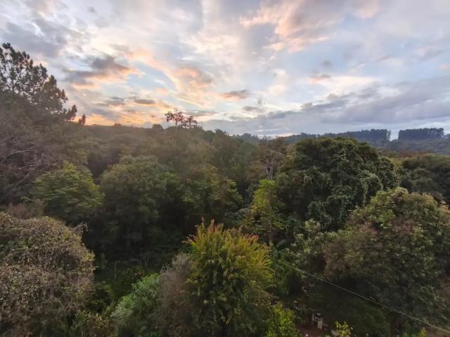 Apartamento venda em Região Geográfica Imediata de Caxias do Sul, Caxias do Sul