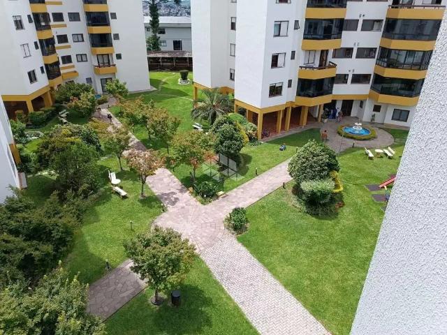 Apartamento venda em Região Geográfica Imediata de Caxias do Sul, Caxias do Sul