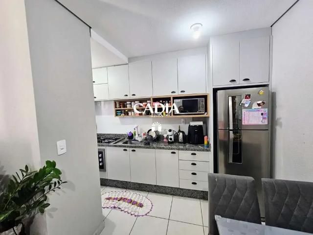 Apartamento venda em Região Geográfica Imediata de Chapecó, Chapecó