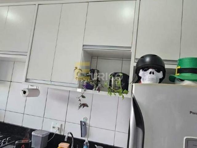 Apartamento venda em Região Imediata de Campinas, Região Metropolitana de Campinas