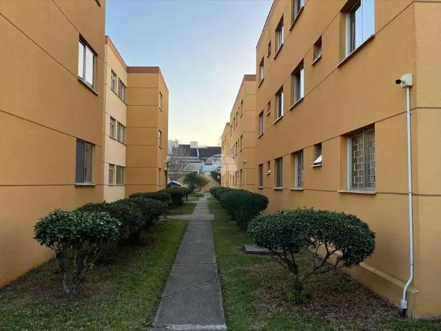 Apartamento venda em Região Geográfica Imediata de Curitiba, Região Metropolitana de Curitiba