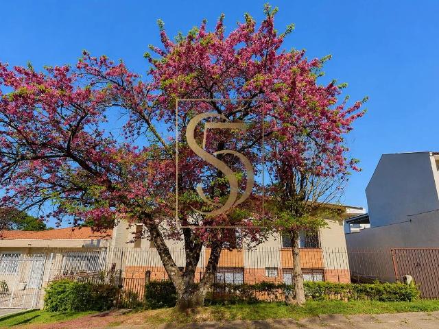 Apartamento venda em Bacacheri, Curitiba