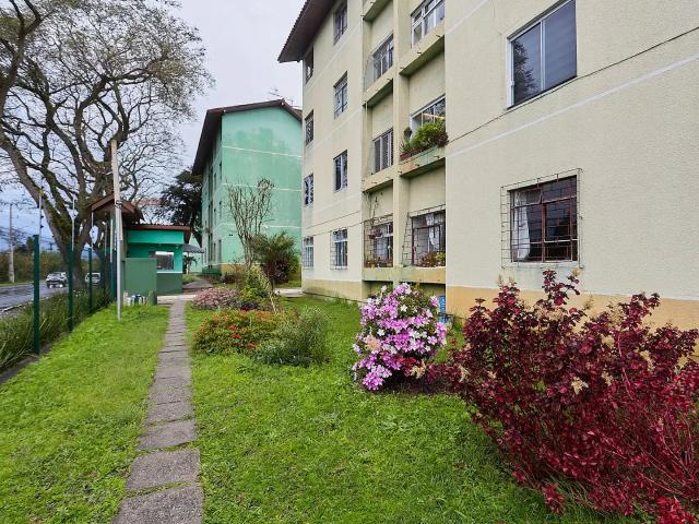 Apartamento venda em Região Geográfica Imediata de Curitiba, Região Metropolitana de Curitiba