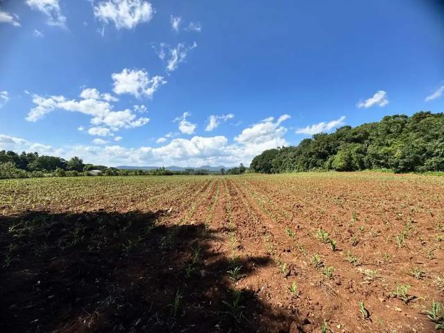 Apartamento venda em Região Geográfica Imediata de Novo Hamburgo - São Leopoldo, Região Metropolitana de Porto Alegre