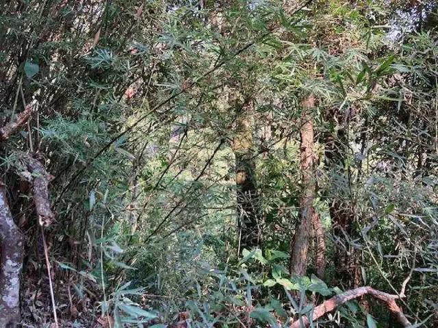 Apartamento venda em Embu das Artes