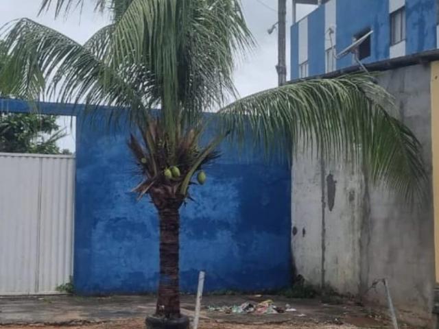 Apartamento venda em Região Geográfica Imediata de Alagoinhas, Entre Rios