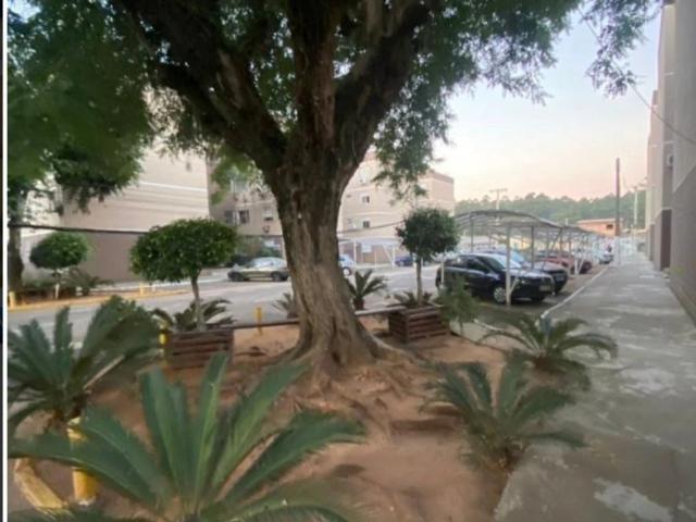 Apartamento venda em Esteio