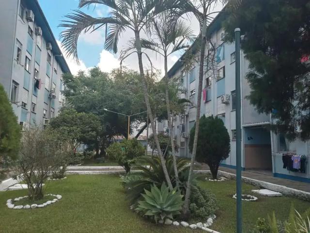 Apartamento venda em Olímpica, Esteio
