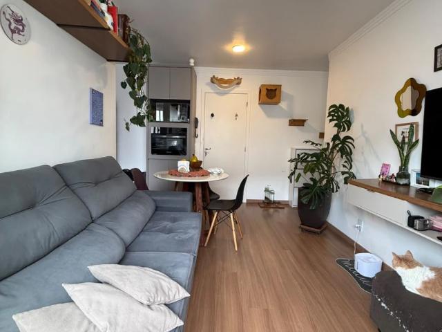 Apartamento venda em Monte Verde, Florianópolis