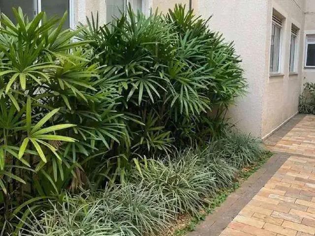 Apartamento venda em Região Imediata de Franca, Juranda