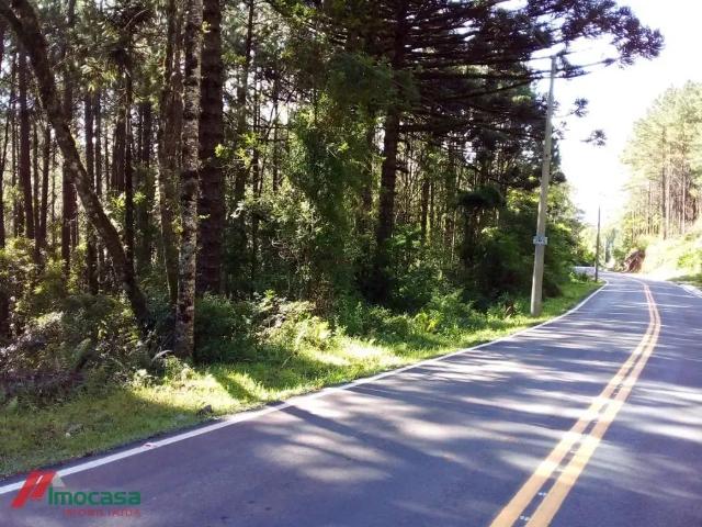 Apartamento venda em Região Geográfica Imediata de Caxias do Sul, Gramado