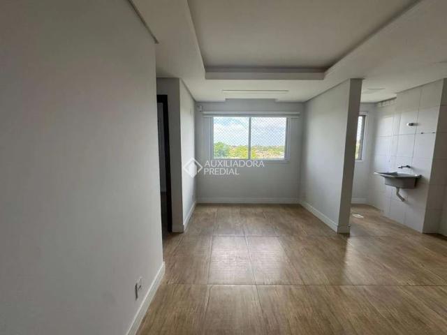 Apartamento venda em Gravataí
