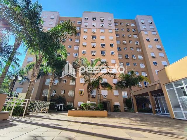 Apartamento venda em Gravataí