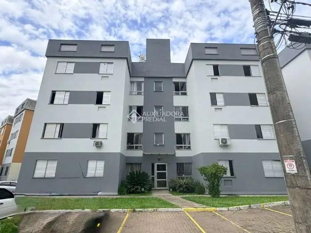 Apartamento venda em Gravataí