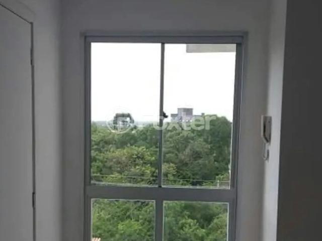 Apartamento venda em Gravataí