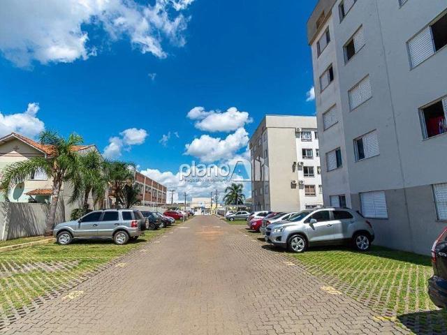 Apartamento venda em Gravataí