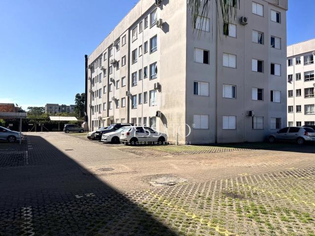 Apartamento venda em Gravataí