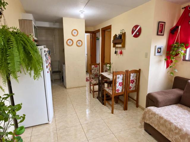 Apartamento venda em Gravataí