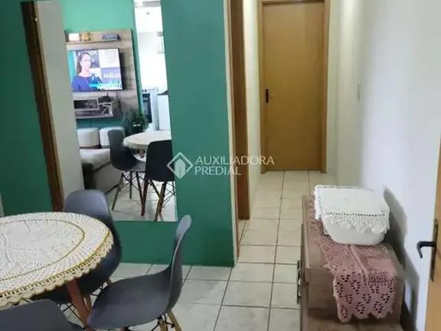 Apartamento venda em Gravataí