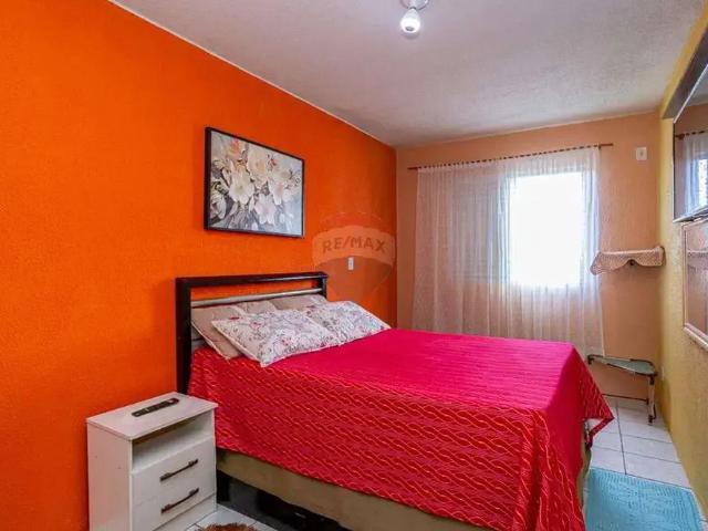 Apartamento venda em Gravataí
