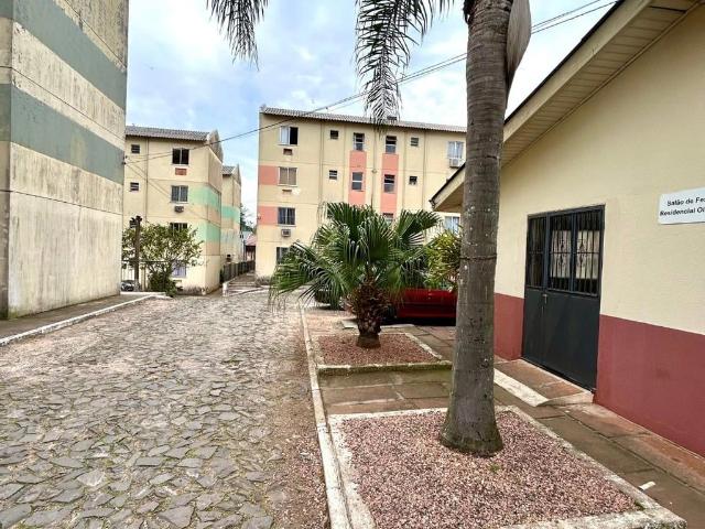 Apartamento venda em Gravataí