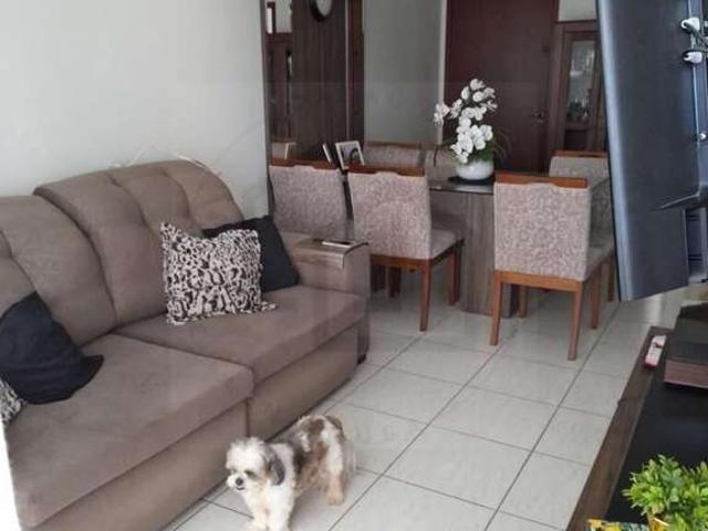 Apartamento venda em Região Geográfica Imediata de Curitibanos, Curitibanos
