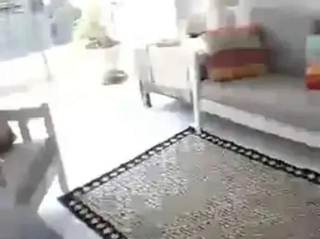 Apartamento venda em Vicente de Carvalho, Guarujá