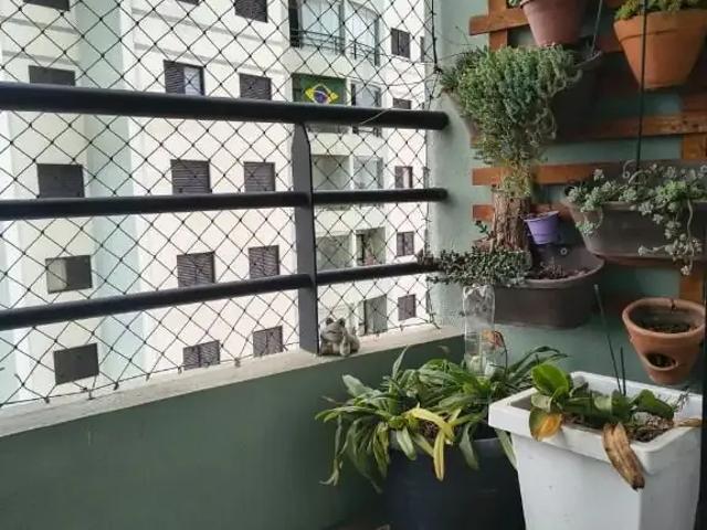 Apartamento venda em Jardim Tranquilidade, Guarulhos