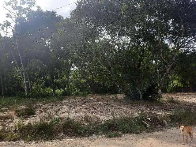 Apartamento venda em Região Geográfica Imediata de Cabo Frio, Iguaba Grande