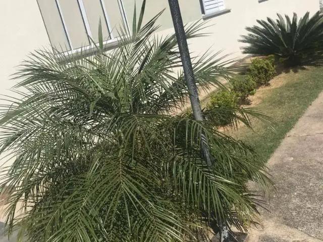 Apartamento venda em Região Imediata de Sorocaba, Região Metropolitana de Sorocaba