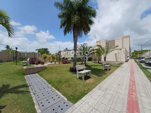 Apartamento venda em Região Geográfica Imediata do Recife, Região Metropolitana do Recife