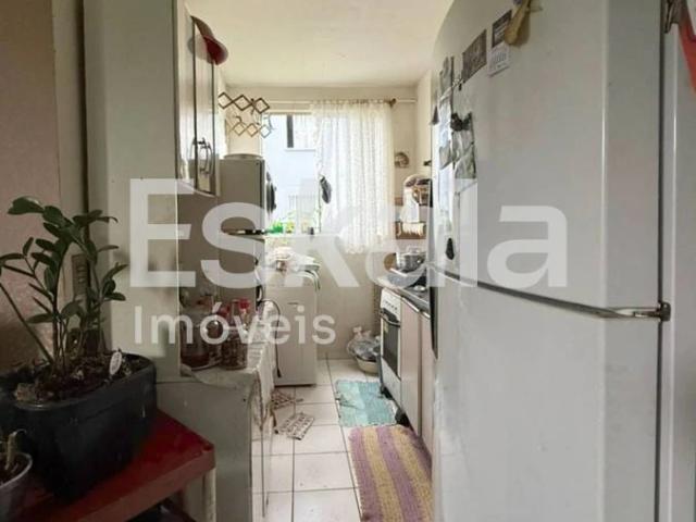 Apartamento venda em Região Geográfica Imediata de Joinville, Jaraguá do Sul