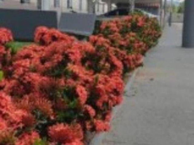 Apartamento venda em Jardim das Tulipas, Jundiaí