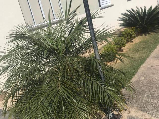 Apartamento venda em Região Imediata de Sorocaba, Região Metropolitana de Sorocaba
