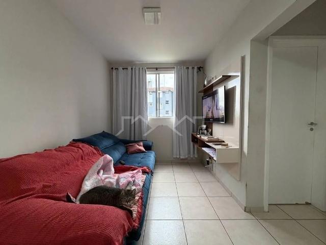 Apartamento venda em Joinville, Região Geográfica Intermediária de Joinville