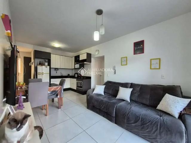 Apartamento venda em Região Geográfica Imediata de Joinville, Joinville