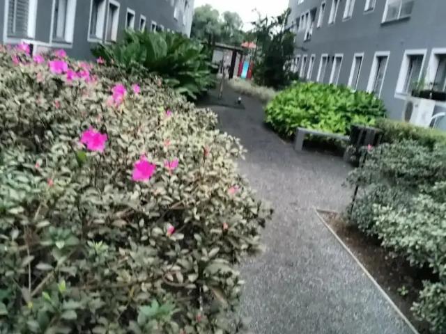 Apartamento venda em Região Geográfica Imediata de Joinville, Joinville